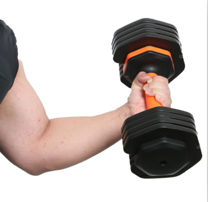 Hanteln mit einstellbarem Gewicht werden von verschiedenen Fitness -Enthusiasten hoch gelobt
